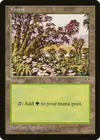 Product image for Forest