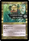 Product image for Troll des jungles