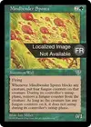 Product image for Spores d'autisme