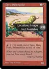 Product image for Salamandre pyrrique