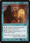 Product image for Shaper Guildmage