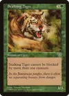 Product image for Stalking Tiger
