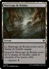 Product image for Marécage de Bojuka
