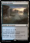 Product image for Bassins fétides