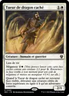 Product image for Tueur de dragon caché