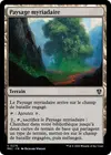 Product image for Paysage myriadaire
