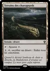 Product image for Terrains des charognards