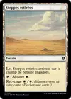 Product image for Steppes retirées