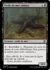 Product image for Étoile de mer sinistre