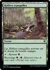 Product image for Halliers tranquilles