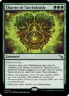 Product image for Charme de l'archidruide