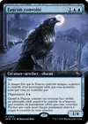 Product image for Faucon convoité