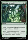Product image for Fanatical Strength