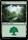Product image for Forest