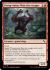 Product image for Orang-outan fléau des rouages