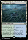 Product image for Labyrinthe de haies
