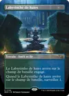 Product image for Labyrinthe de haies