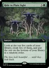 Product image for Hide in Plain Sight