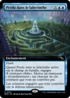 Product image for Perdu dans le labyrinthe