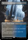 Product image for Meticulous Archive
