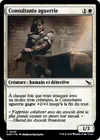 Product image for Consultante aguerrie