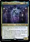 Product image for Vannifar, Evolved Enigma