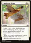 Product image for Eyes in the Skies