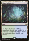 Product image for Misty Rainforest