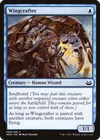 Product image for Wingcrafter