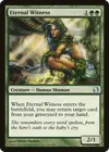 Product image for Eternal Witness