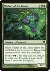 Product image for Walker of the Grove