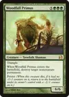 Product image for Woodfall Primus