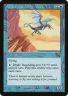 Product image for Drake Hatchling