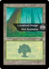 Product image for Forêt