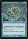 Product image for Glowing Anemone