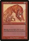 Product image for Wild Jhovall
