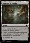 Product image for Marécage de Bojuka