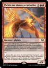 Product image for Phénix aux plumes perpétuelles