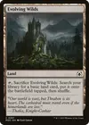 Product image for Evolving Wilds