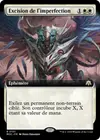 Product image for Excision de l'imperfection
