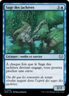 Product image for Sage des jachères