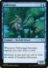 Product image for Fallowsage
