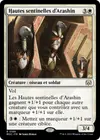 Product image for Hautes sentinelles d'Arashin