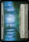 Product image for Jungle de mégaflore