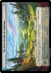 Product image for Les terres fertiles de Saulvinia