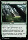 Product image for Bois bizarre