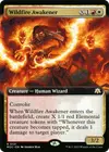 Product image for Wildfire Awakener