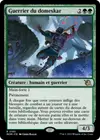 Product image for Guerrier du domeskar