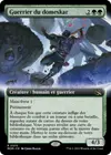 Product image for Guerrier du domeskar