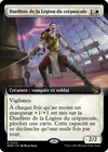 Product image for Duelliste de la Légion du crépuscule
